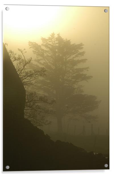Tree in the mist Acrylic by Cel Jones