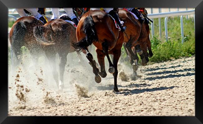 Horse race close-up. Framed Print by Mikhail Pogosov