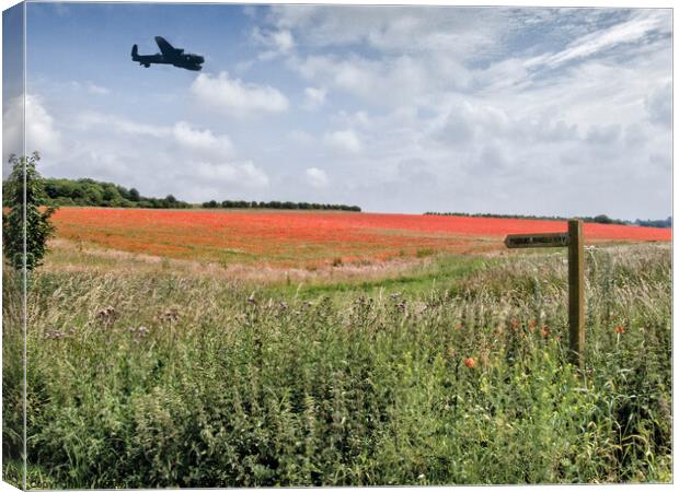 Lancaster Bomber over Poppy Field  Canvas Print by john hartley