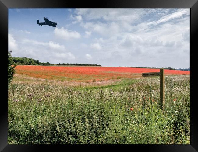 Lancaster Bomber over Poppy Field  Framed Print by john hartley
