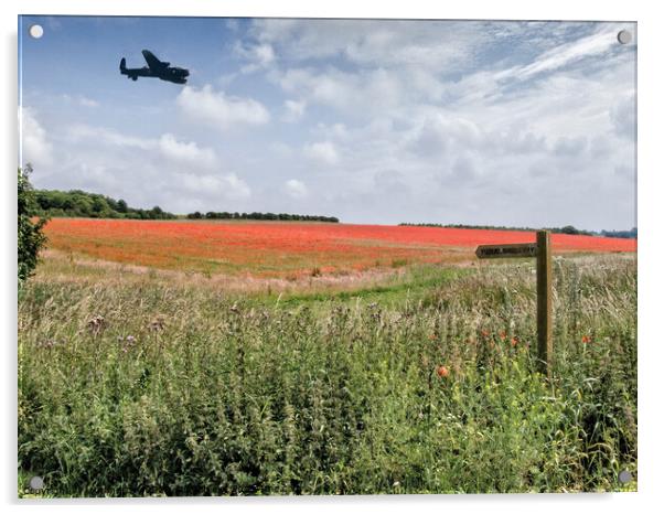 Lancaster Bomber over Poppy Field  Acrylic by john hartley