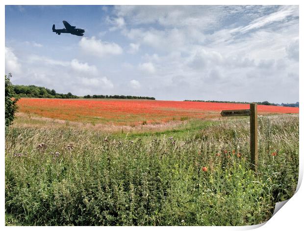 Lancaster Bomber over Poppy Field  Print by john hartley