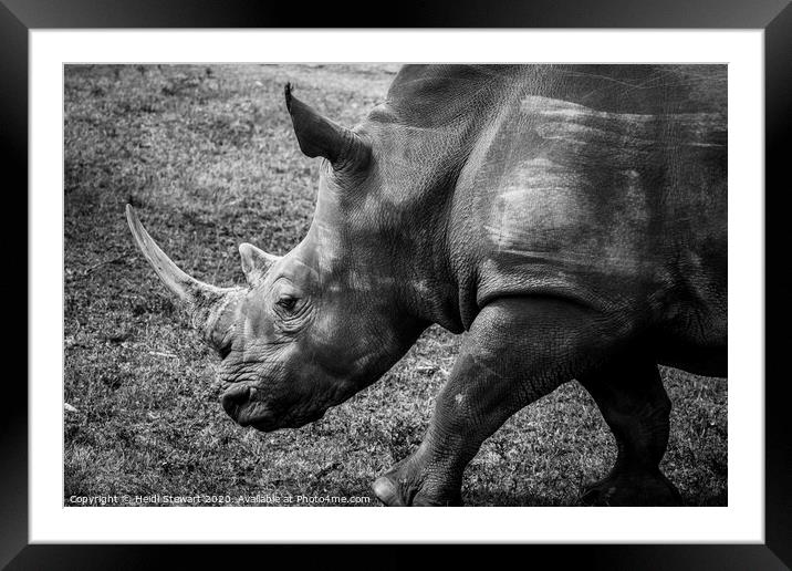 Rhinoceros Framed Mounted Print by Heidi Stewart