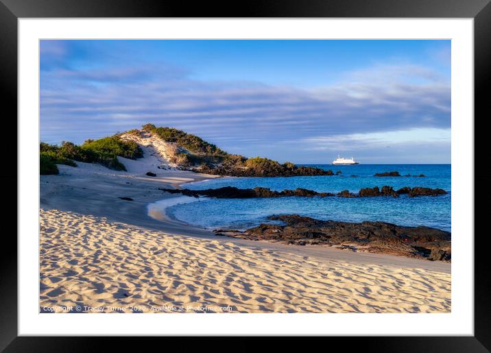 Galapagos Islands - Bartolomé Framed Mounted Print by Tracey Turner