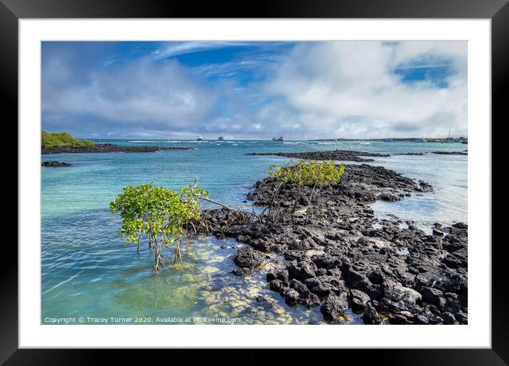 Galapagos Islands Volcanic Rock Framed Mounted Print by Tracey Turner