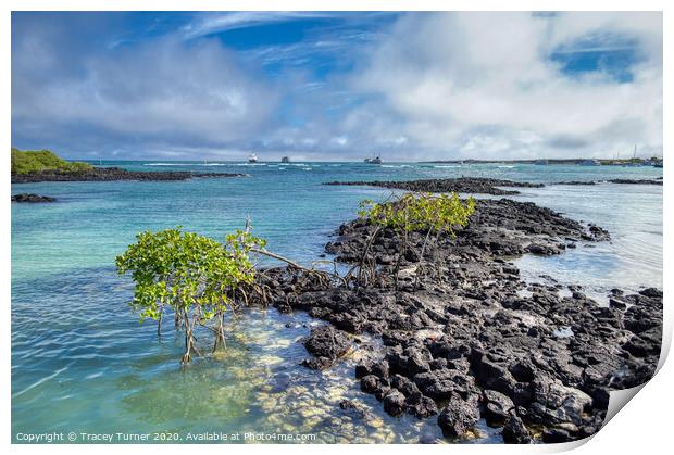 Galapagos Islands Volcanic Rock Print by Tracey Turner
