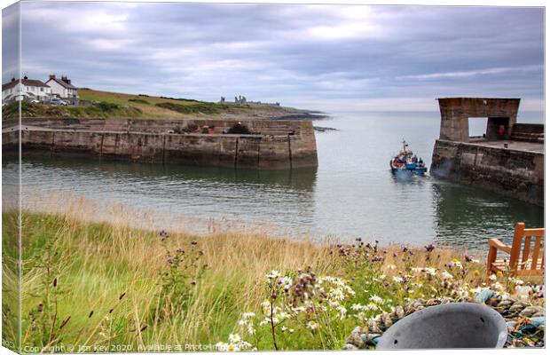 Craster Harbour Northumberland Canvas Print by Jim Key