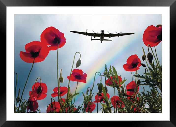 Lancaster Poppy Hero Framed Mounted Print by J Biggadike