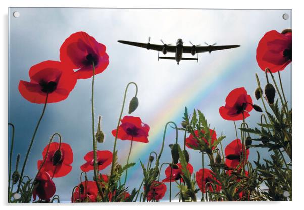Lancaster Poppy Hero Acrylic by J Biggadike