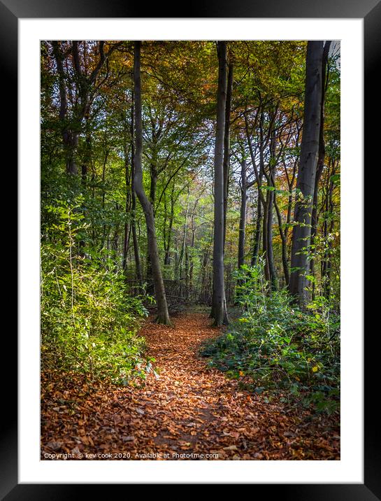 Woodland path Framed Mounted Print by kevin cook