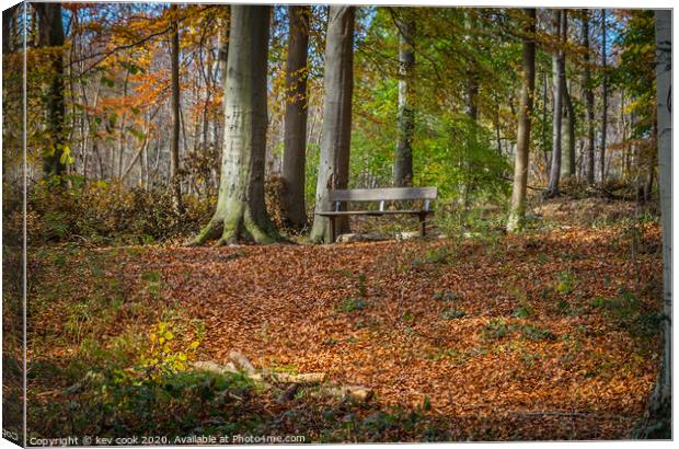Woodland bench Canvas Print by kevin cook