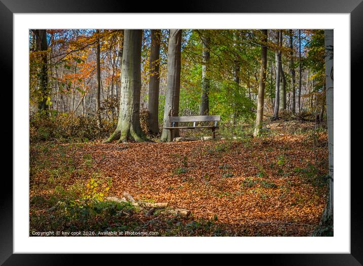 Woodland bench Framed Mounted Print by kevin cook