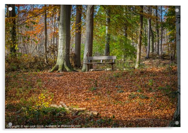 Woodland bench Acrylic by kevin cook