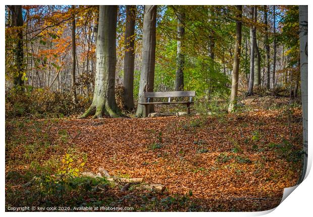 Woodland bench Print by kevin cook
