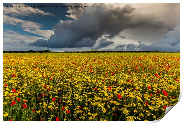 Poly Joke Flowers Print by Sebastien Coell