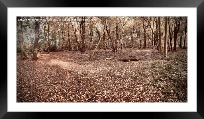 Lost in the woods  Framed Mounted Print by Matthew Balls