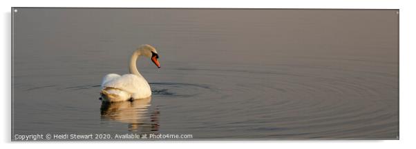 Swan Lake Acrylic by Heidi Stewart