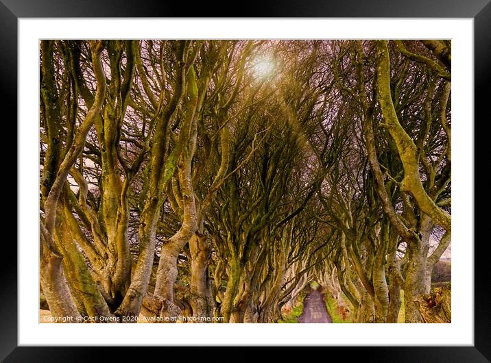 The dark hedges Framed Mounted Print by Cecil Owens