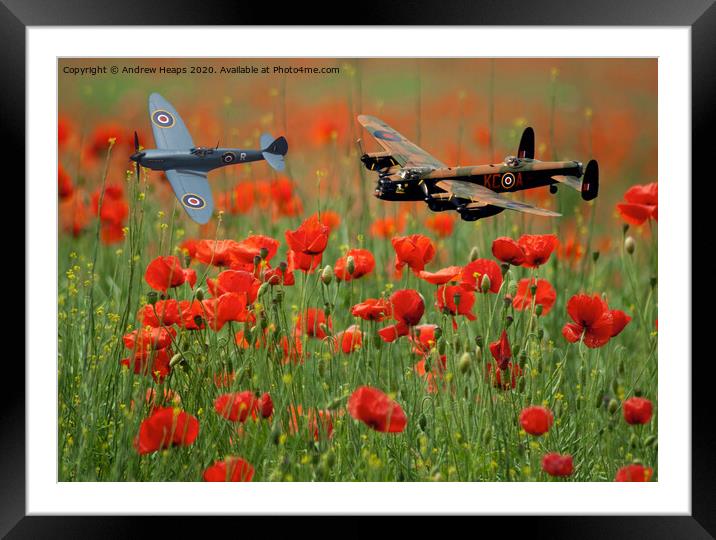 Spitfire and Lancaster bomber fly by over poppy fi Framed Mounted Print by Andrew Heaps