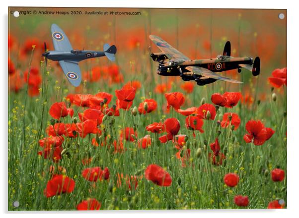 Spitfire and Lancaster bomber fly by over poppy fi Acrylic by Andrew Heaps