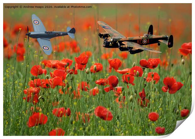 Spitfire and Lancaster bomber fly by over poppy fi Print by Andrew Heaps