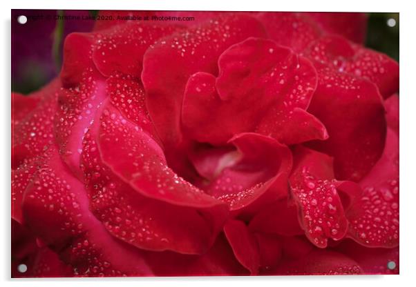 Sparkling Red Acrylic by Christine Lake