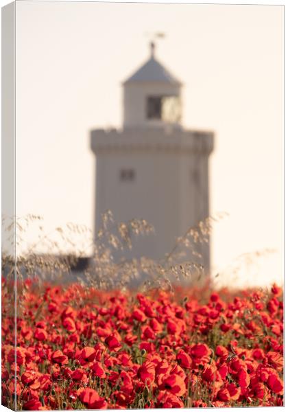 Remembrance Poppies Canvas Print by Trevor Sherwin