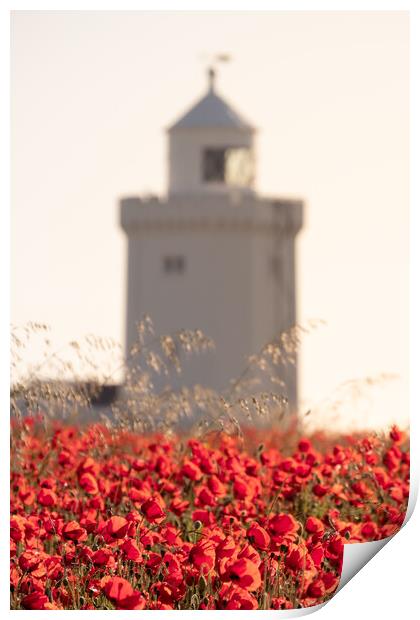 Remembrance Poppies Print by Trevor Sherwin