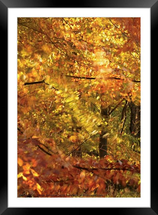 Autumn splendour Framed Mounted Print by Simon Johnson