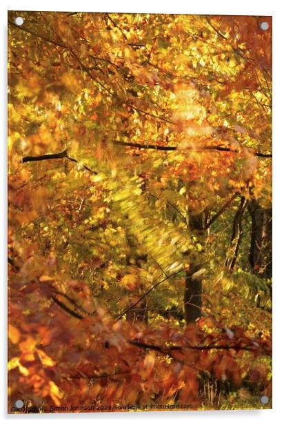 Autumn splendour Acrylic by Simon Johnson