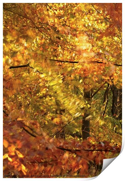 Autumn splendour Print by Simon Johnson