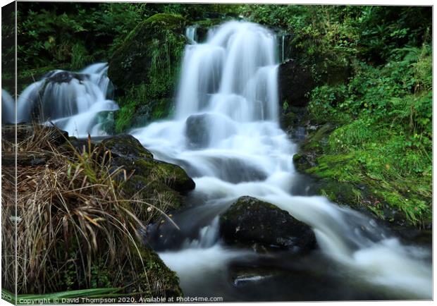 Trossachs Forest Hills  Waterfall Canvas Print by David Thompson