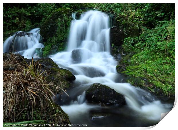 Trossachs Forest Hills  Waterfall Print by David Thompson