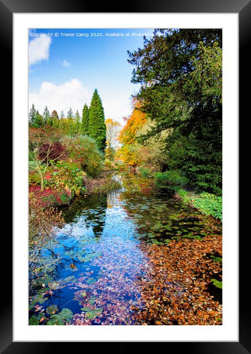 Autumn Colours Framed Mounted Print by Trevor Camp