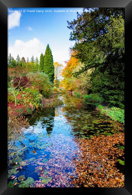 Autumn Colours Framed Print by Trevor Camp