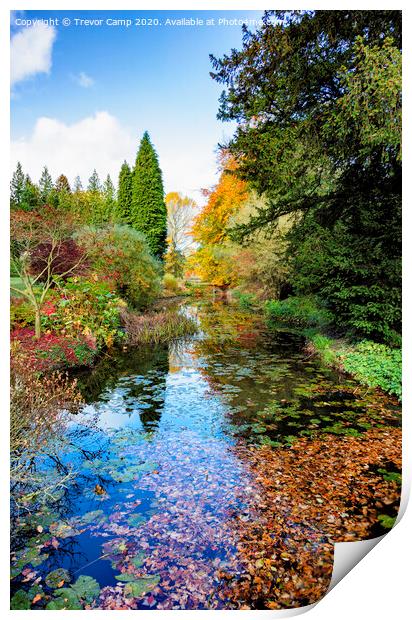 Autumn Colours Print by Trevor Camp