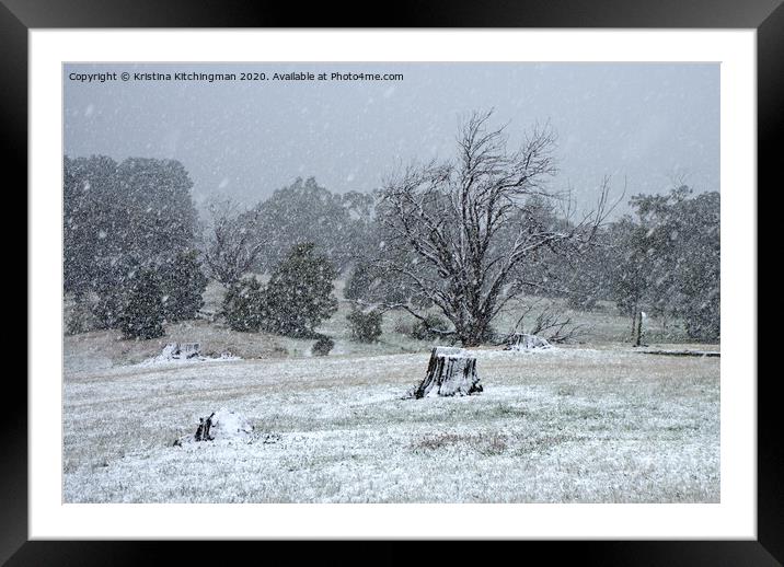 Snowing over the falls reserve Framed Mounted Print by Kristina Kitchingman