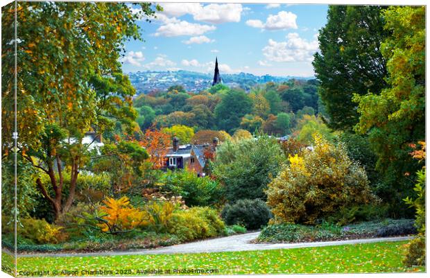  Autumn Bliss in Sheffield Botanical Gardens  Canvas Print by Alison Chambers