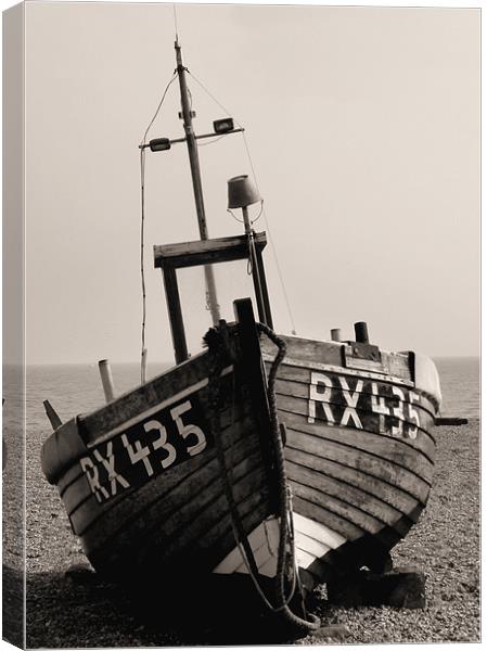 Beached Canvas Print by susan potter