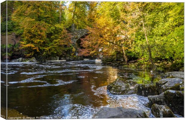 River Braan at the Hermitage in autumn Canvas Print by Angus McComiskey