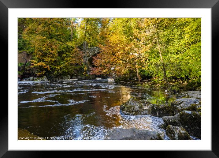 River Braan at the Hermitage in autumn Framed Mounted Print by Angus McComiskey