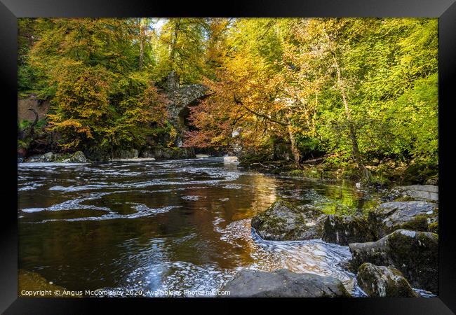 River Braan at the Hermitage in autumn Framed Print by Angus McComiskey