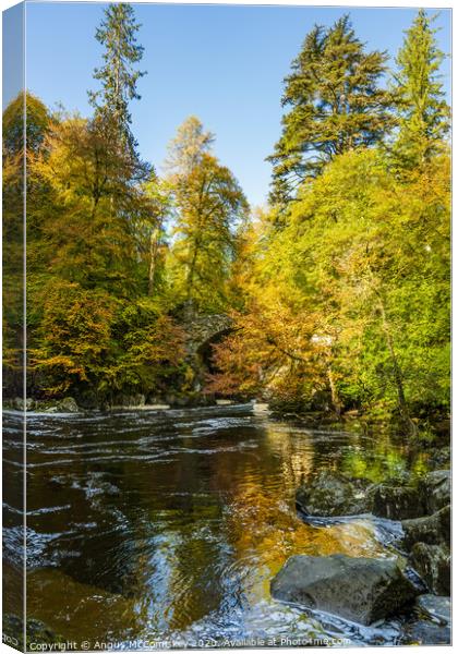 River Braan at the Hermitage autumn colours Canvas Print by Angus McComiskey