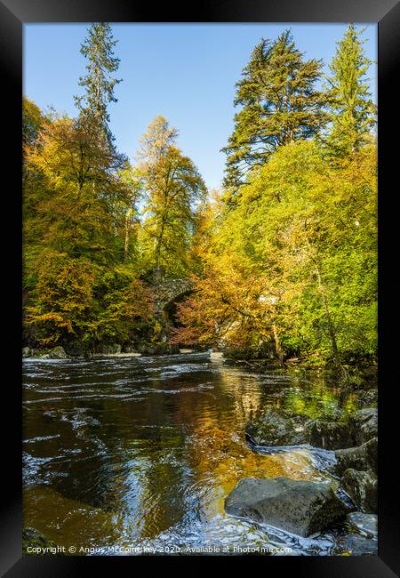 River Braan at the Hermitage autumn colours Framed Print by Angus McComiskey