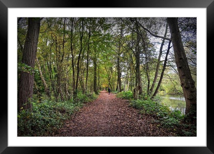Natures Pathway  Framed Mounted Print by Jon Fixter