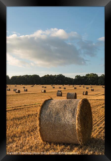 Beautiful countryside landscape image of hay bales in Summer field during colorful sunset Framed Print by Matthew Gibson