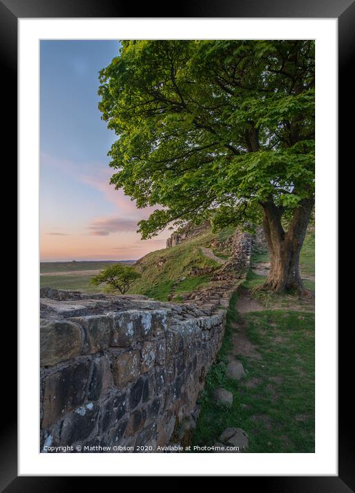 Beautiful landscape image of Sycamore Gap at Hadrian's Wall in Northumberland at sunset with fantastic late Spring light Framed Mounted Print by Matthew Gibson