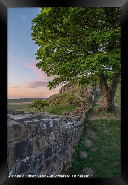 Beautiful landscape image of Sycamore Gap at Hadrian's Wall in Northumberland at sunset with fantastic late Spring light Framed Print by Matthew Gibson