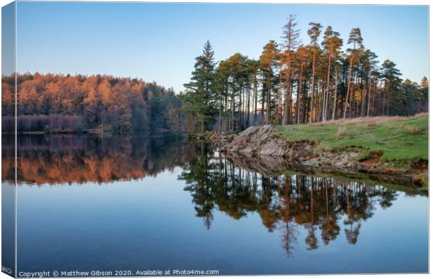 Beautiful landscape image of Tarn Hows in Lake District during beautiful Autumn Fall evening sunset with vibrant colours and still waters Canvas Print by Matthew Gibson