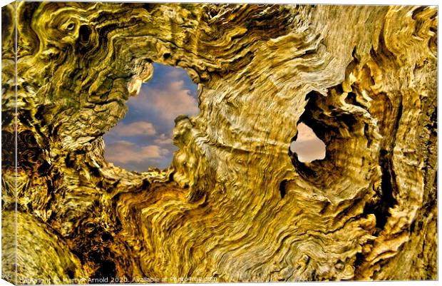 Heart of the Tree Canvas Print by Martyn Arnold